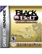 Black Belt Challenge Gameboy Advance