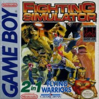 Fighting Simulator Gameboy