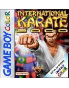 International Karate 2000 Gameboy