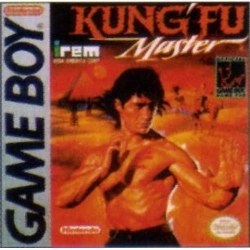 Kung Fu Master Gameboy