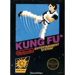 Kung-Fu NES