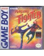 Raging Fighter Gameboy