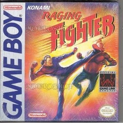 Raging Fighter Gameboy