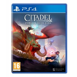 Citadel Forged With Fire PS4