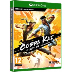 Cobra Kai The Karate Saga Continues Xbox One