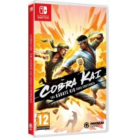 Cobra Kai The Karate Saga Continues Nintendo Switch