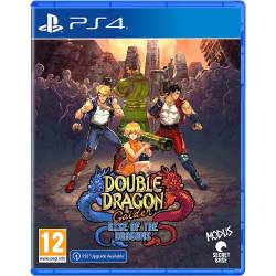 Double Dragon Gaiden Rise...