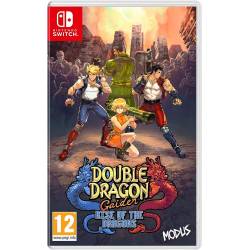 Double Dragon Gaiden Rise...